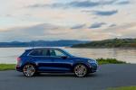 Audi SQ5 3.0 TFSI 2017 года (NA)